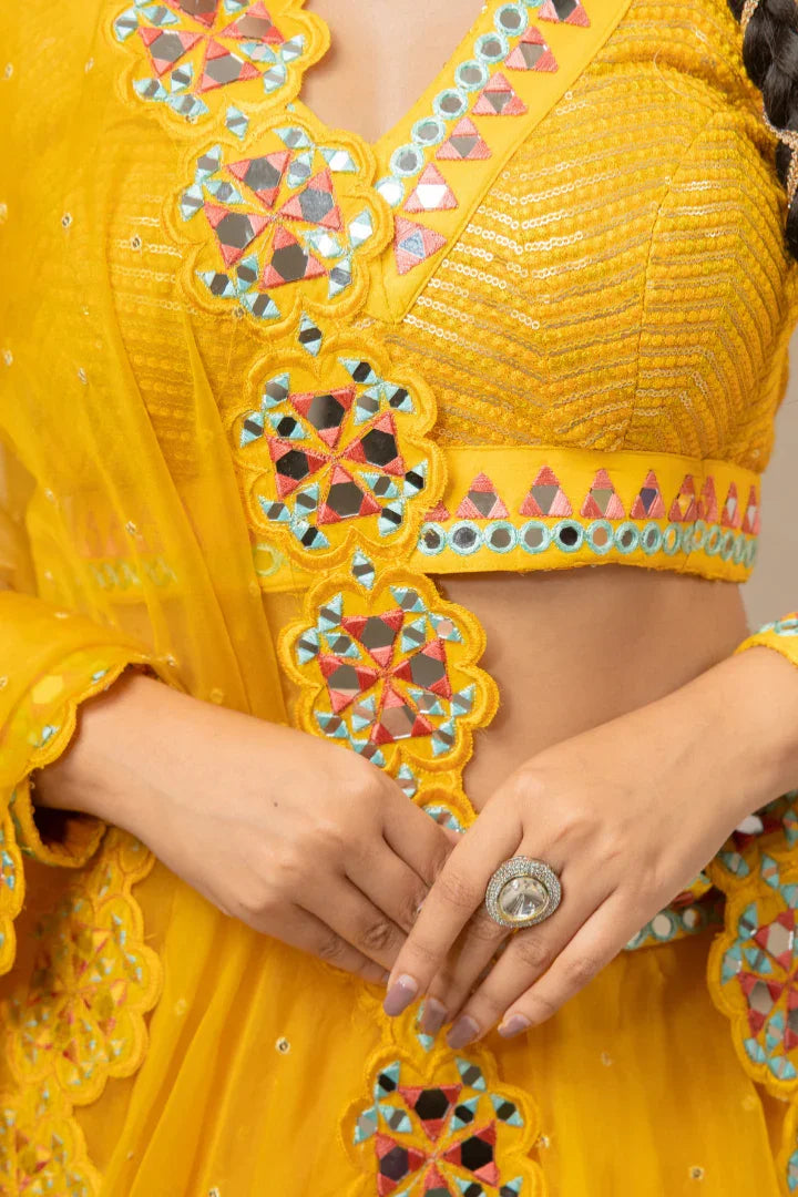 Buy Delightful Organza Lehenga with Mirror Work