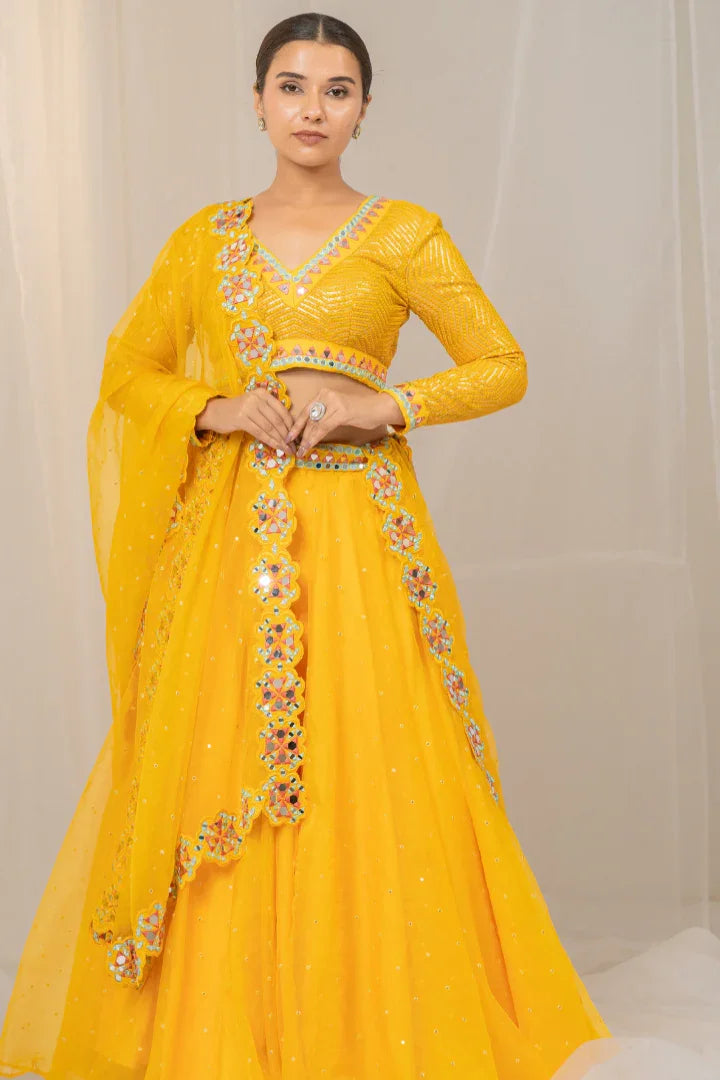 Buy Delightful Organza Lehenga with Mirror Work