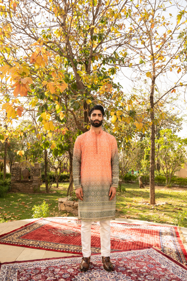 Elegant Pumpkin Shaded Kurta