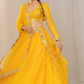 Delightful Organza Lehenga with Mirror Work