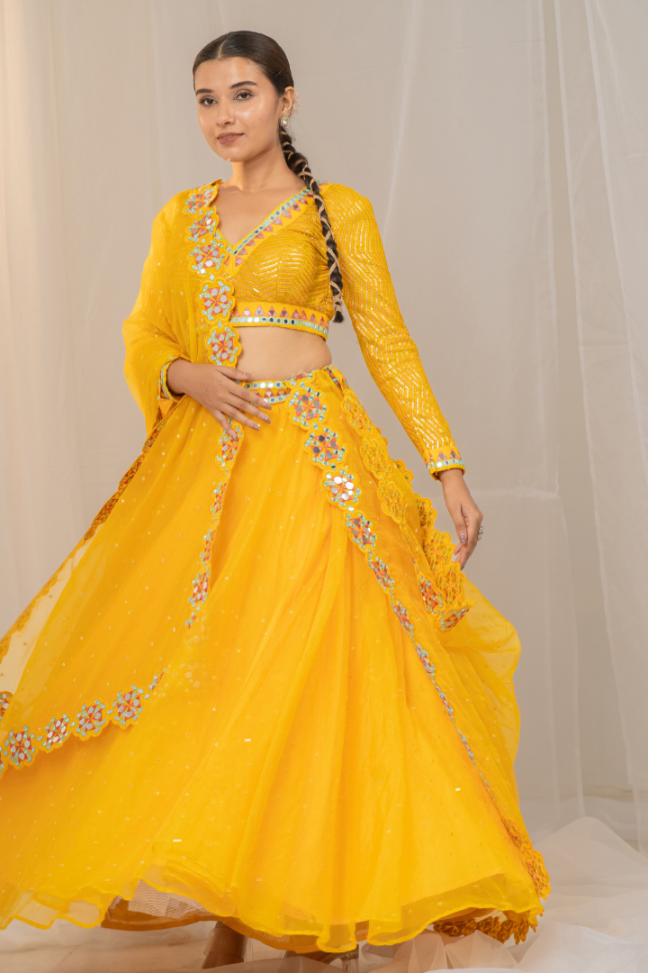 Delightful Organza Lehenga with Mirror Work