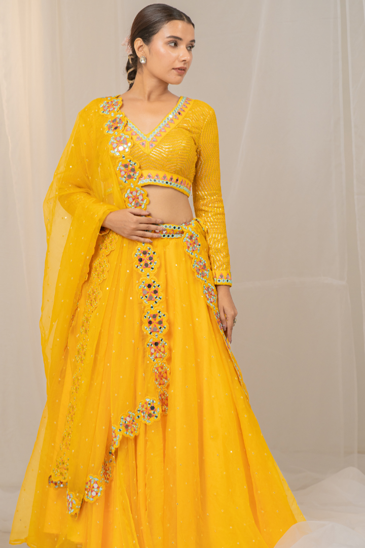 Delightful Organza Lehenga with Mirror Work