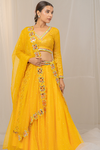 Delightful Organza Lehenga with Mirror Work