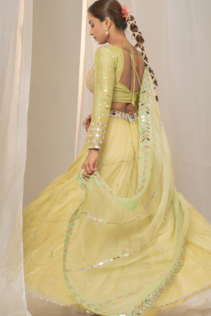 Hare Rang Ka Organza Lehenga