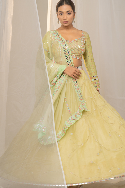 Hare Rang Ka Organza Lehenga