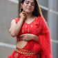 Red Silk Blouse & Net Worked Sharara With Feather Dupatta