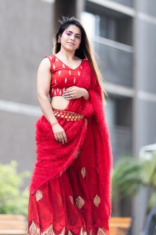 Red Silk Blouse & Net Worked Sharara With Feather Dupatta