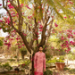 Vibrant Deep Pink Batik Kurta