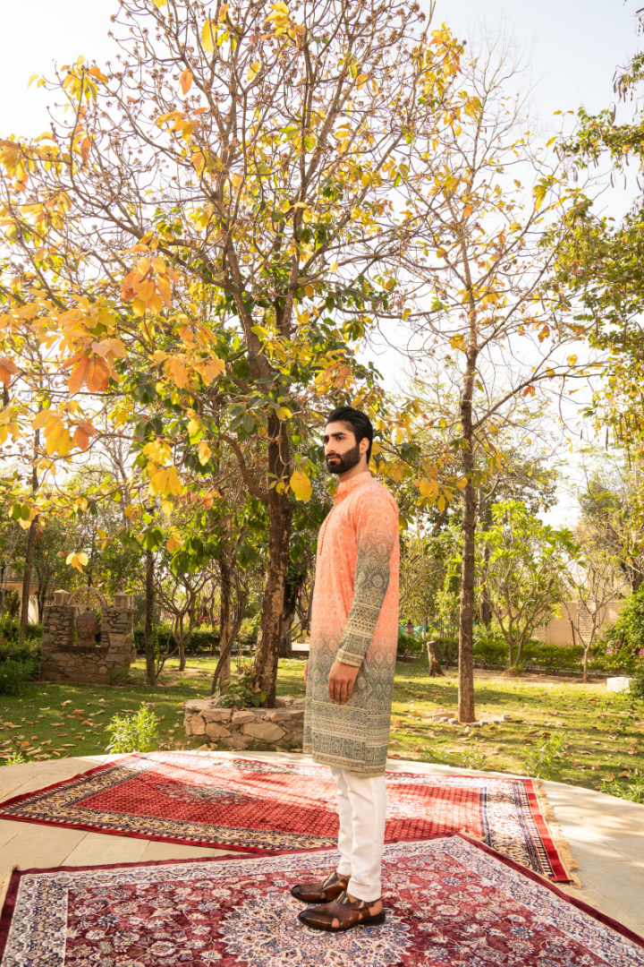 Elegant Pumpkin Shaded Kurta