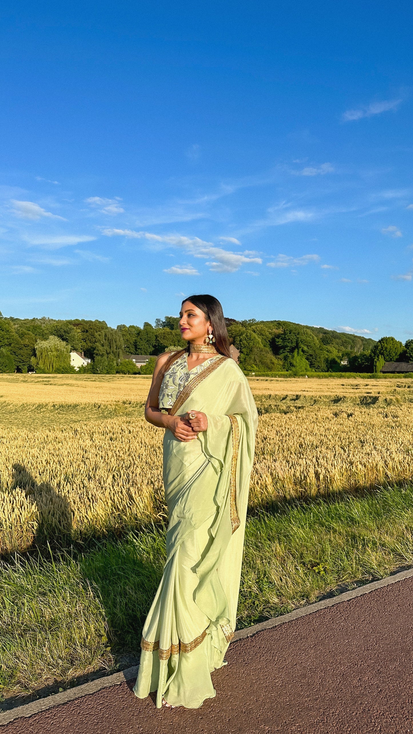 Ruffled Chiffon Saree and Exquisite Silk Blouse with Collar Embellishments