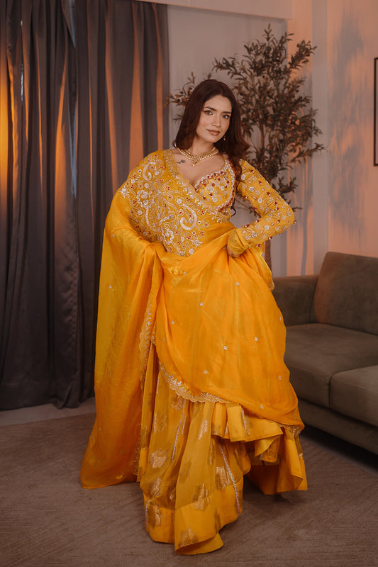 Surya Noor Chiffon Lehenga Set