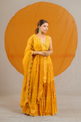 Opulent Granola Kanch Mirror Lehenga Choli with Dupatta