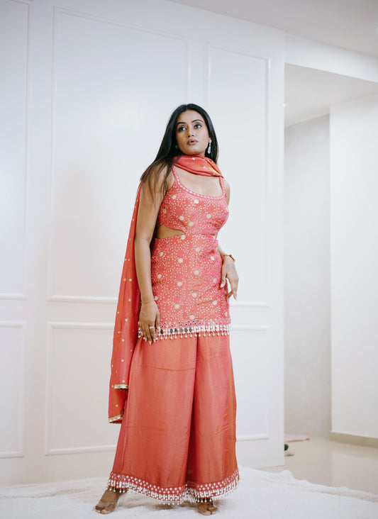Alaya mefil Crimson Kurta Sharara Set